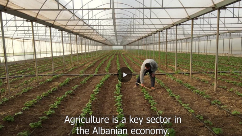 Revitalizing Albanian Agriculture
