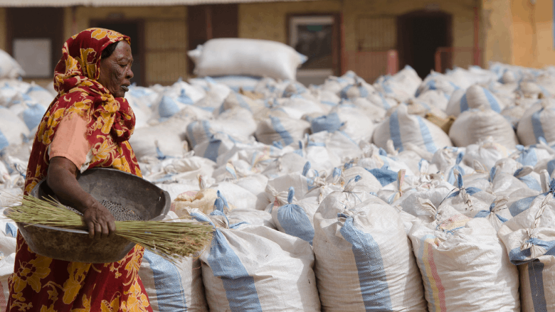 Workers sort, repack and ship Gum Arabic lots. Workers sort, repack and ship Gum Arabic lots.