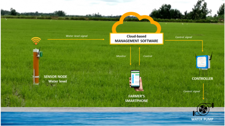Vietnam: A smarter way to grow rice in the Mekong Delta