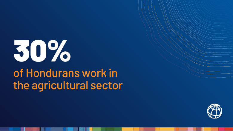 30 percent of Hondurans work in the agricultural sector