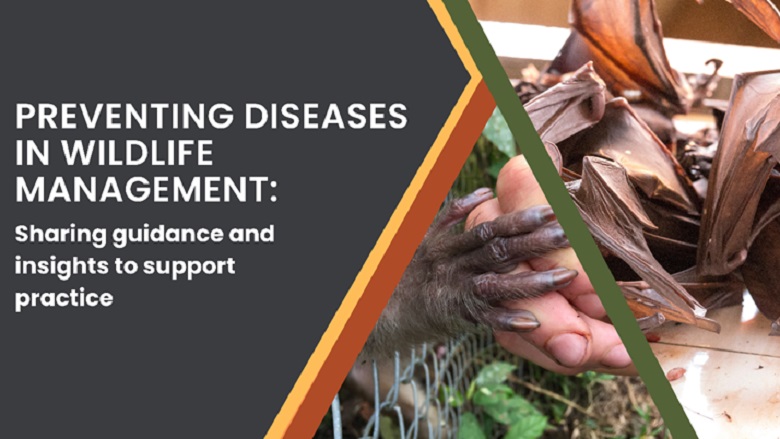 preventing diseases in wildlife management
