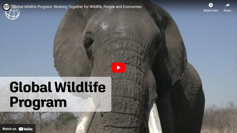 Working Together for Wildlife, People and Economies