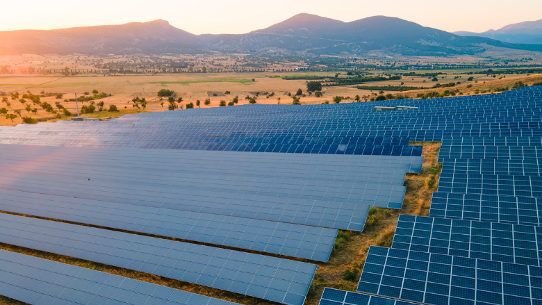 Net Gains from Net Zero for Türkiye