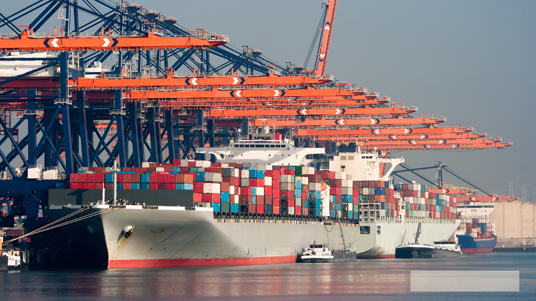 Large harbor cranes loading container ships in the port of Rotterdam