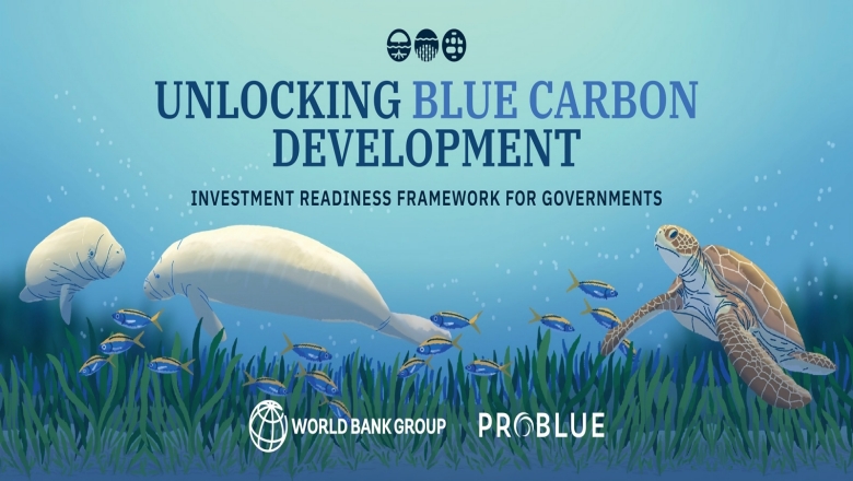 Blue Carbon Report Cover