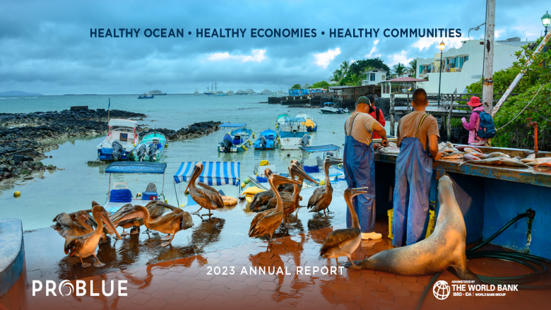 PROBLUE 2023 Annual Report cover image 