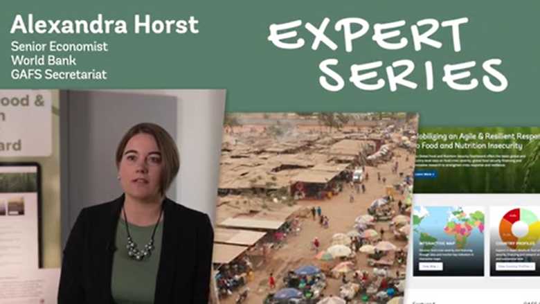 Alexandra Christina Horst on the Global Food Security Dashboard