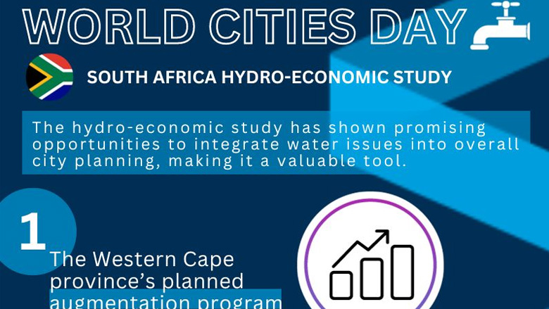 The Economic Implications of Water Resources Management in the Western Cape Water Supply System