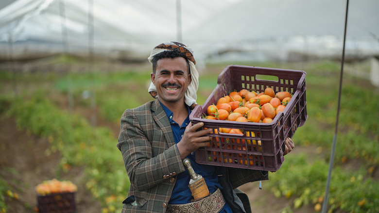 Food System Resilience in the Middle East and North Africa