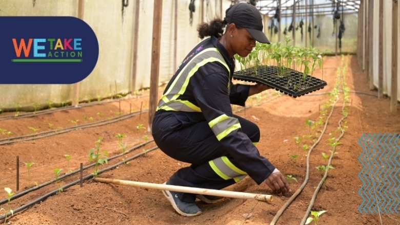 Farmer woman in Jamaica. This greenhouse project is helping farmers and community members with water storage 