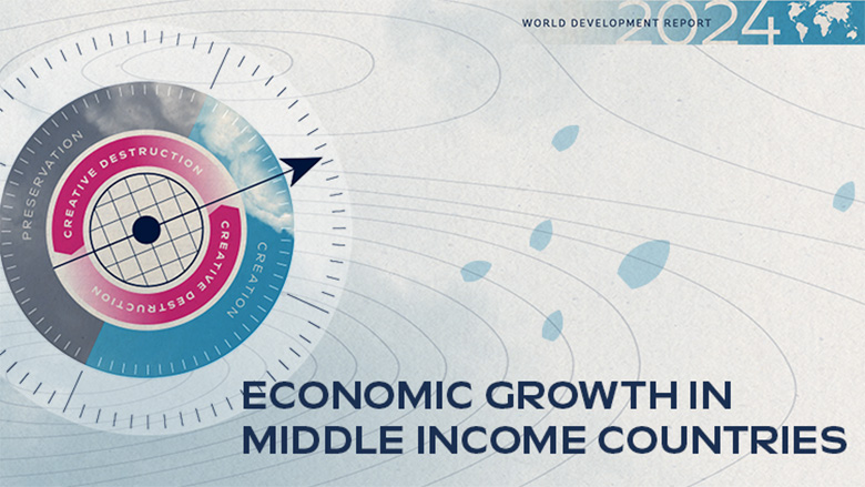 Innovation Policy Effectiveness in Middle-Income Countries: Lessons from Impact Evaluation Studies