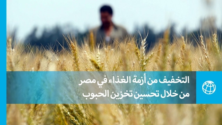 التخفيف من أزمة الغذاء في مصر من خلال تحسين تخزين الحبوب