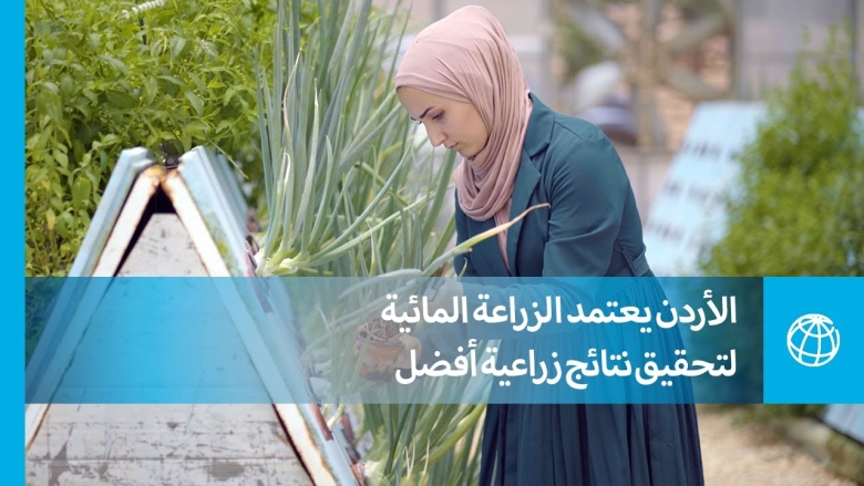 الأردن يعتمد الزراعة المائية لتحقيق نتائج زراعية أفضل
