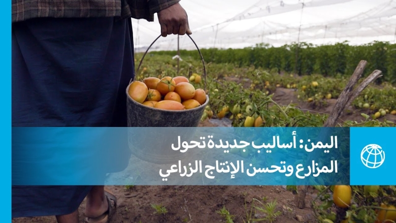 اليمن: أساليب جديدة تحول المزارع وتحسن الإنتاج الزراعي