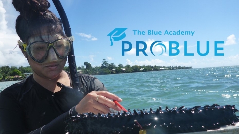 Blue Academy