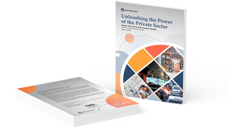  Unleashing the Power of the Private Sector