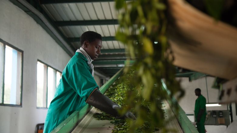 What kind of financing does agriculture need to create jobs and prevent climate change?