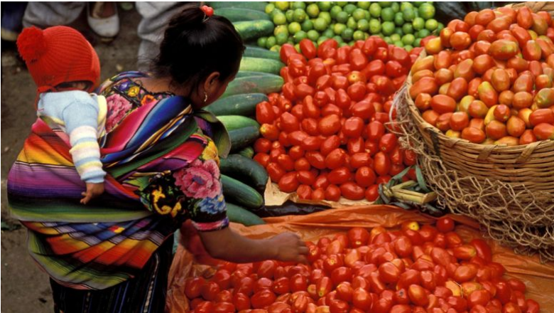 IDA21 and the Global Alliance Against Hunger and Poverty