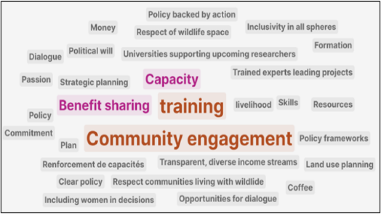 Word cloud results for the question 