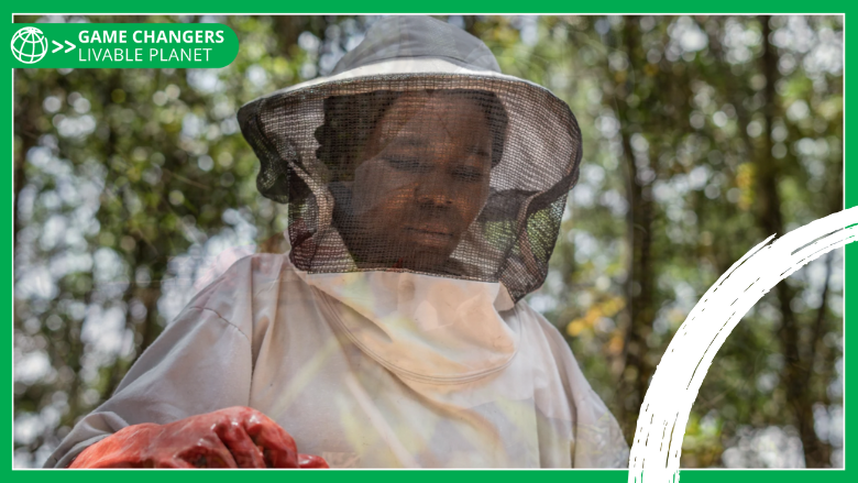 Beekeeper in the village of Ibi on Congo’s Bateke Plateau. - with Game Changers branding