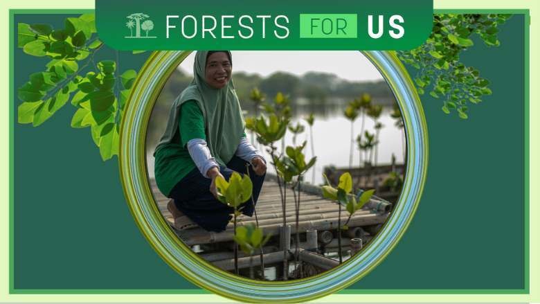 ForestsForUs_woman_and_mangroves_Indonesia