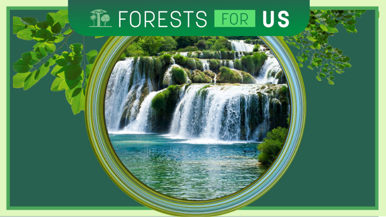 ForestsForUS-Waterfall