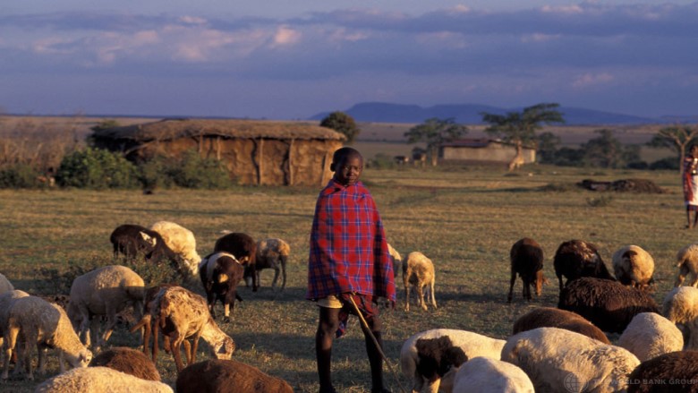 An image of a young shepherd in Kenya