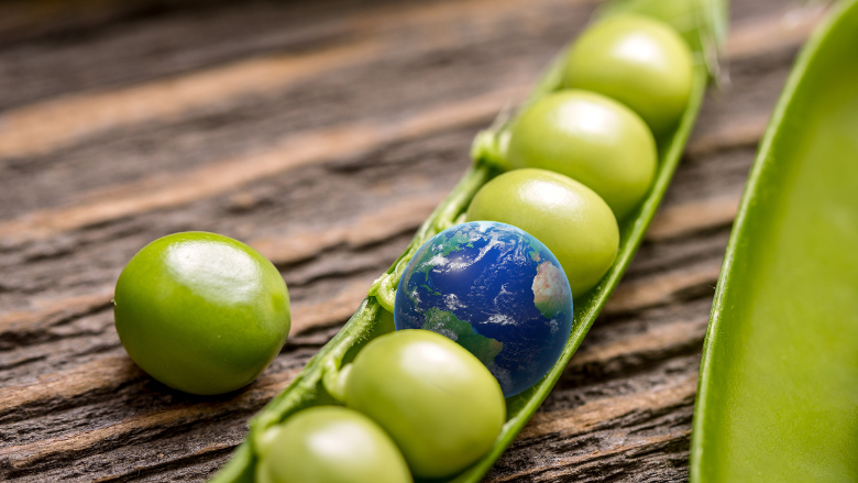 Table for 10 Billion: Recipe for a Livable Planet