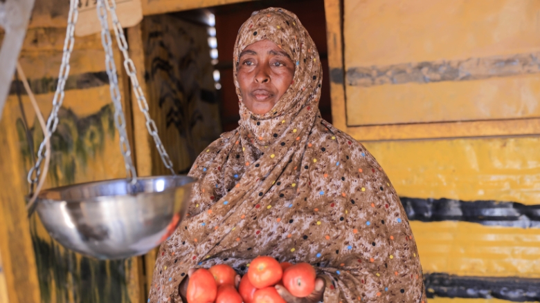 Debt Relief for the World’s Poorest Nations: How the HIPC Initiative is Changing Lives in Somalia and Other Countries