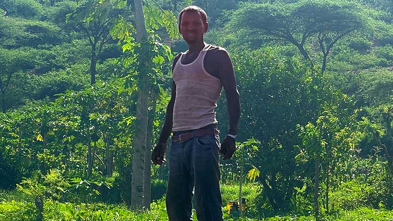 irrigation
