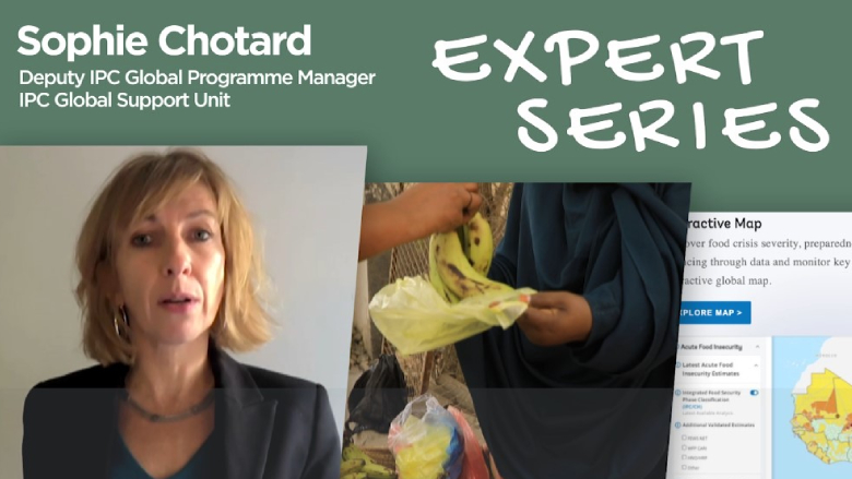 Sophie Chotard on the Global Food & Nutrition Security Dashboard