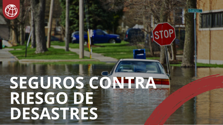 How do disaster risk insurance policies work?