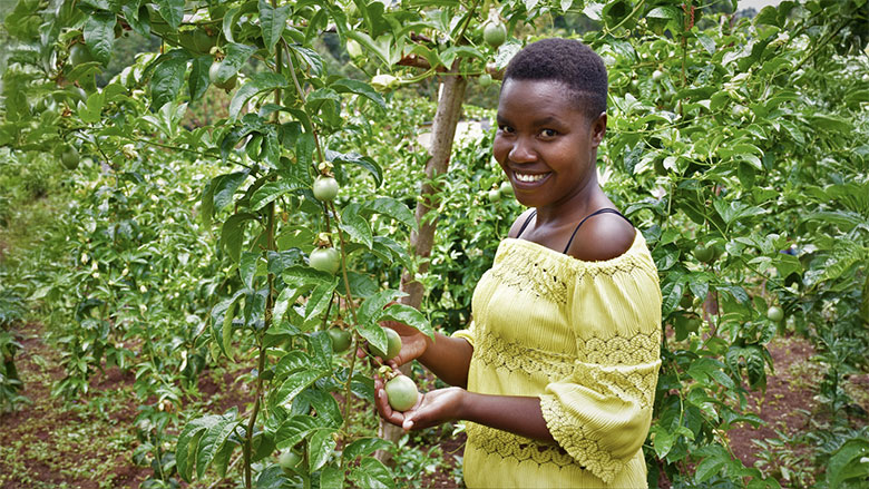 Supporting Access to Finance and Enterprise Recovery Project (SAFER) in Kenya