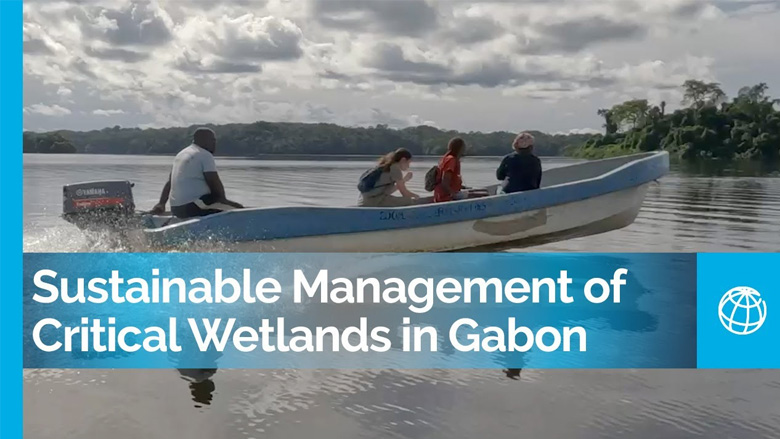 Sustainable Management of Critical Wetlands: Journey to Green Gabon
