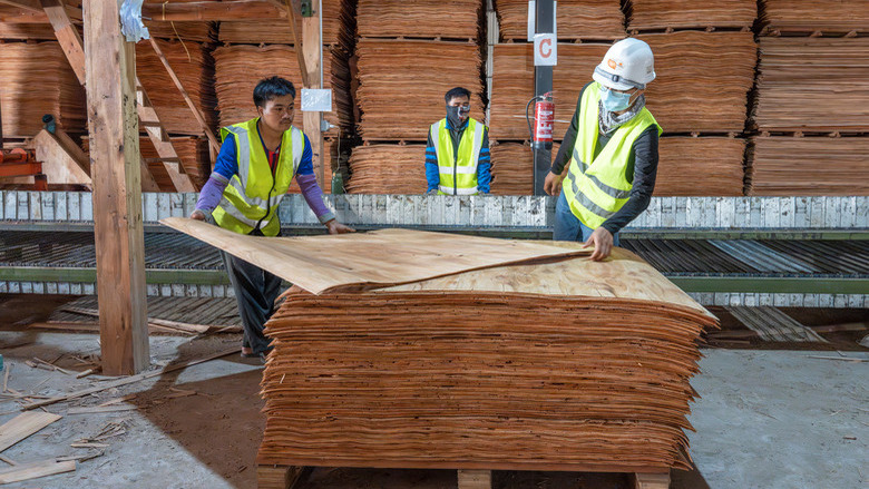 Three workers in hi-vis vests stack sheets of plywood for compression in a  factory in Laos. 