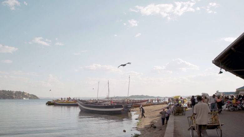 Lake Victoria: Collaborative efforts to improve sanitation and water quality