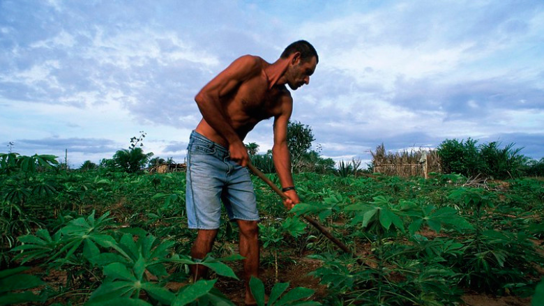 Brazilian farmer