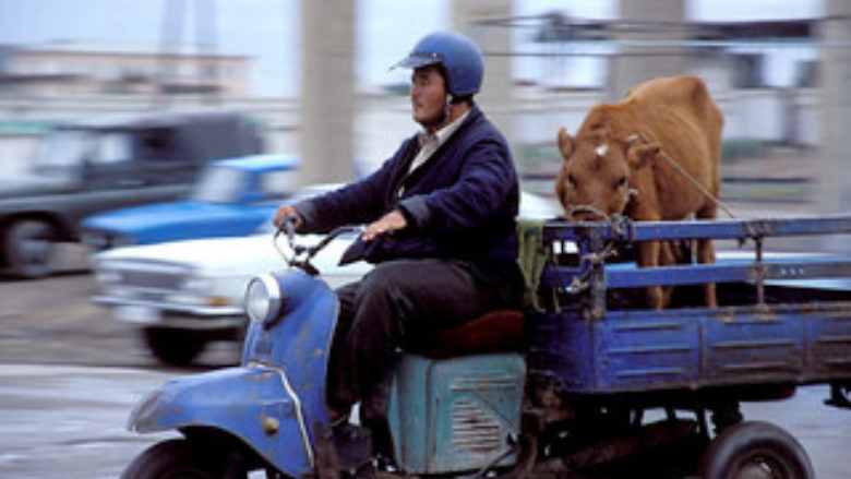 Listening to citizens of uzbekistan