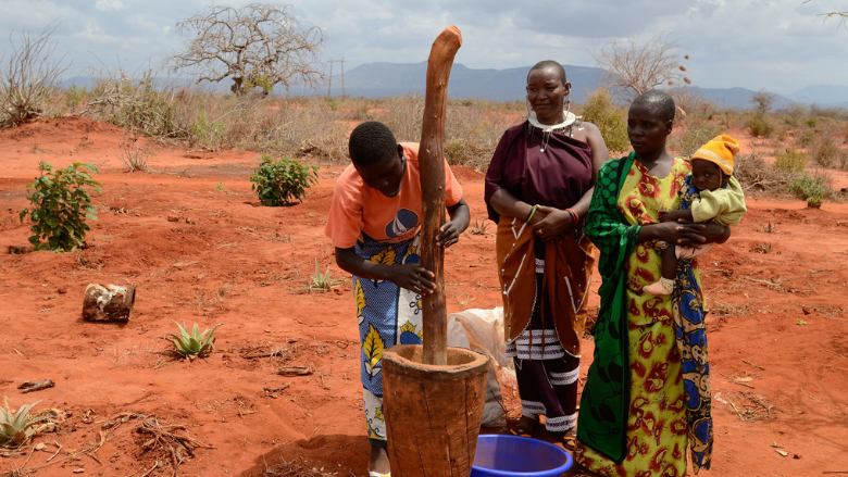 Preparing fertilizer for the cultivation of aloe plants in Kenya