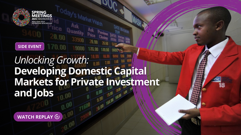 Developing Domestic Capital Markets for Private Investment and Jobs