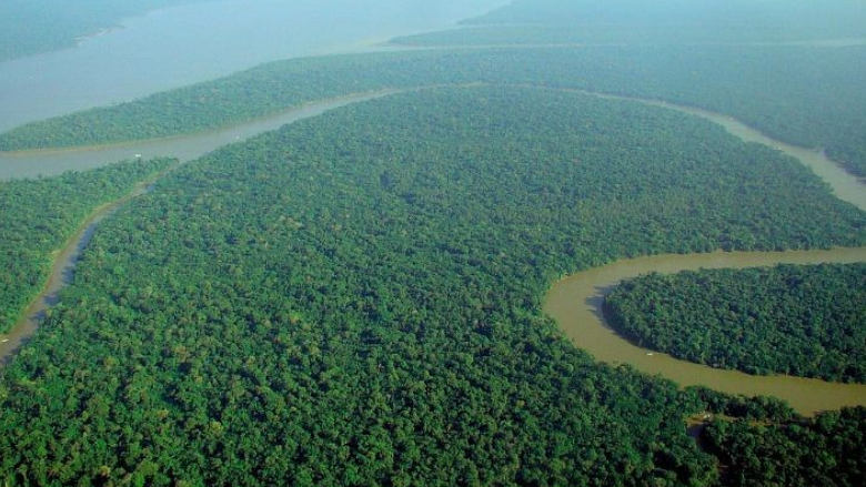 ASL Webinar - Quantifying the Carbon Preserved by Protected Areas in the Amazon