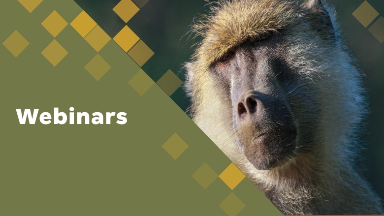 banners-website-Themes-2026-Webinars.jpg