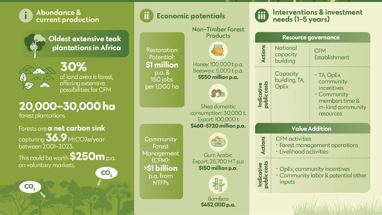 South Sudan Natural Resources Review