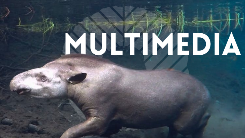 Amazon Sustainable Landscapes Program Multimedia