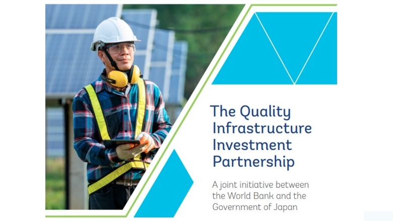 QII Partnership Brochure 