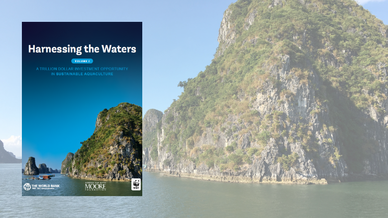 Harnessing-the-waters-Card report cover 