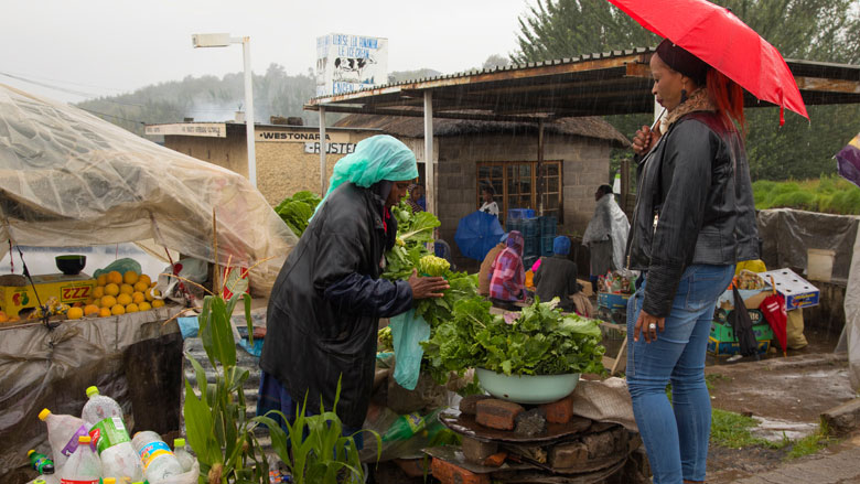 Economic Inclusion Program in Lesotho