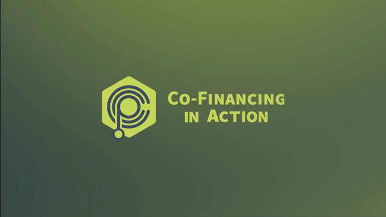 Co-Financing in Action