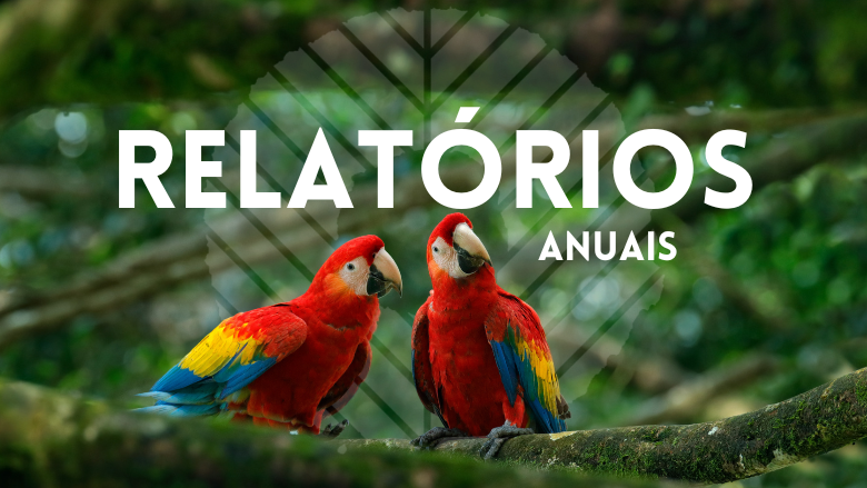 Relatorios Anuais ASL