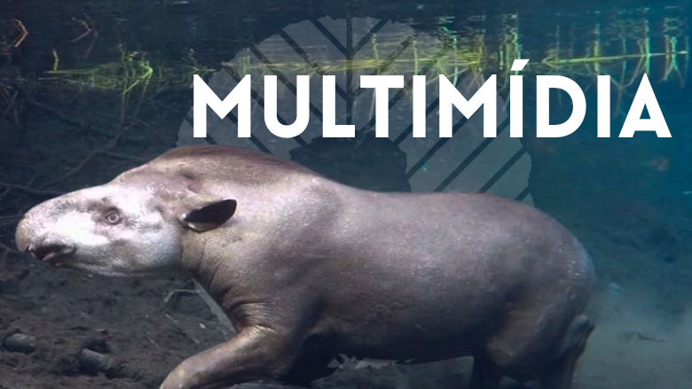 ASL Multimídia